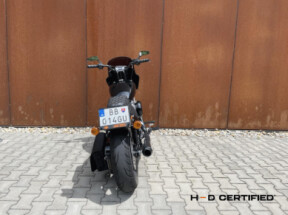 FXST 2021 Softail Standard<sup>®</sup> thumb 2