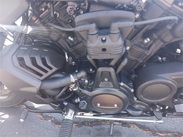 RH1250S 2024 Sportster S - Photo 7