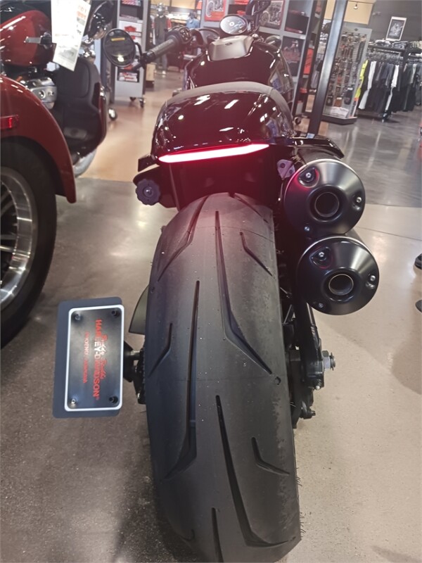 RH1250S 2024 Sportster S - Photo 5