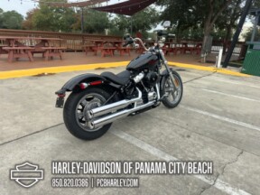 2024 Harley-Davidson<sup>®</sup> Softail<sup>®</sup> Standard thumb 3