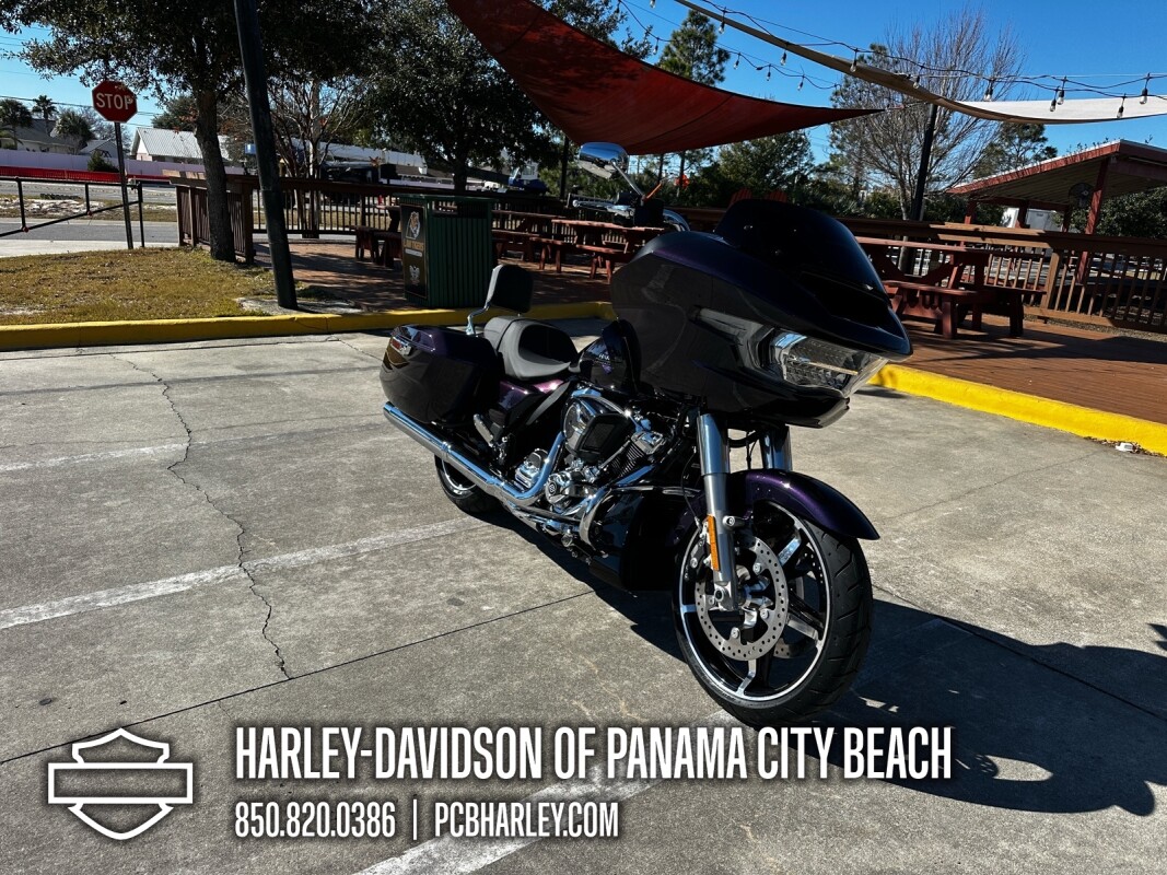 2025 Harley-Davidson Road Glide - Photo 8