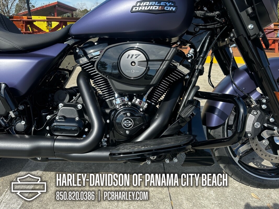 2025 Harley-Davidson Street Glide - Photo 9