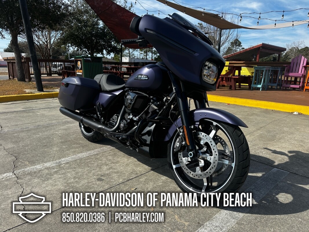 2025 Harley-Davidson Street Glide - Photo 8