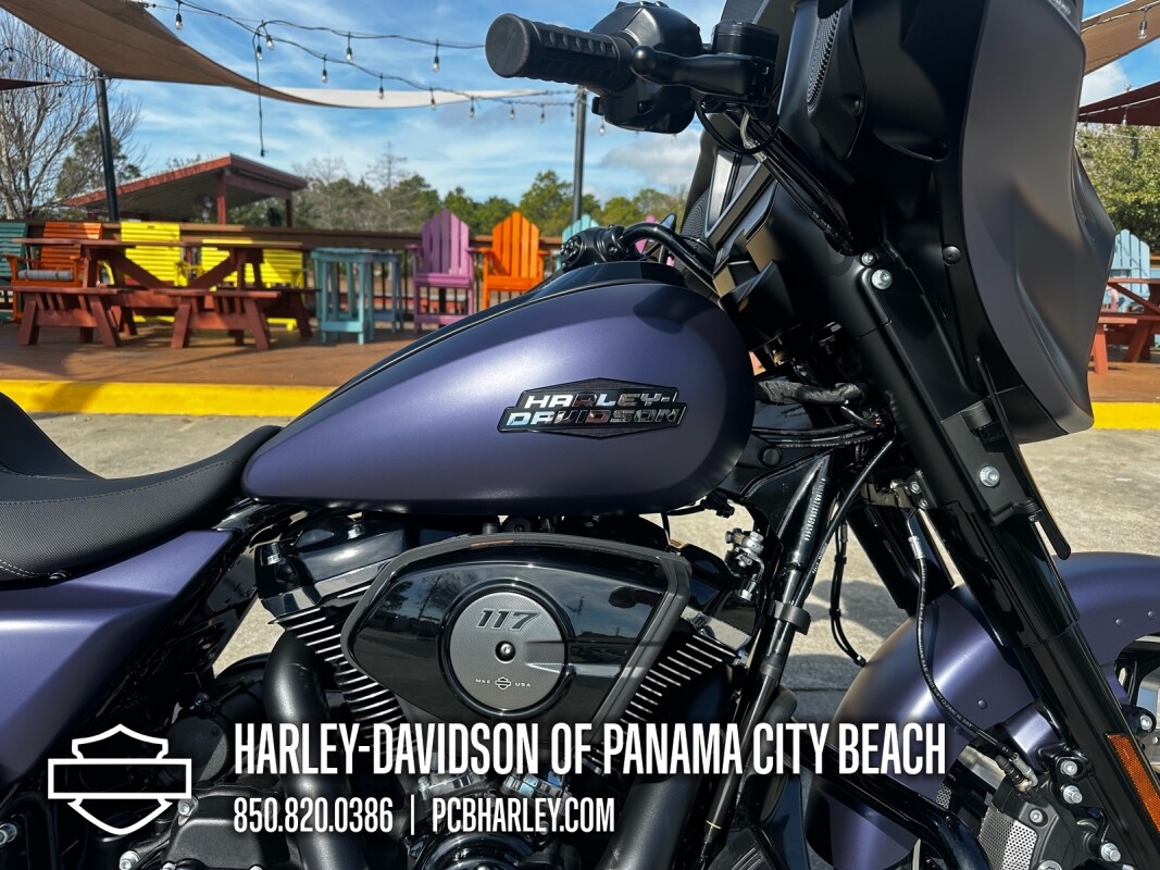 2025 Harley-Davidson Street Glide - Photo 10