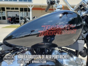 2024 Harley-Davidson<sup>®</sup> Softail<sup>®</sup> Standard thumb 1