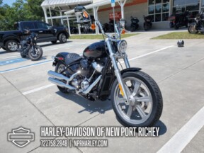 2024 Harley-Davidson<sup>®</sup> Softail<sup>®</sup> Standard thumb 2