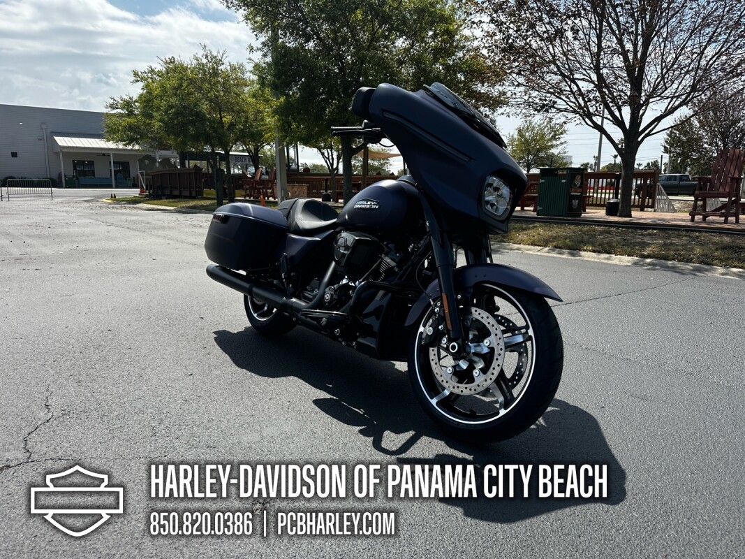 2025 Harley-Davidson Street Glide - Photo 8