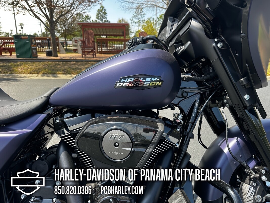2025 Harley-Davidson Street Glide - Photo 10