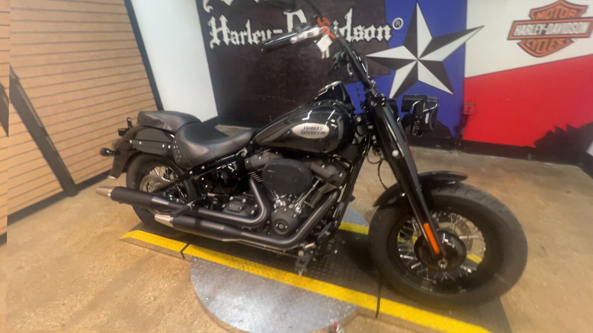 2024 Harley-Davidson Heritage Classic FLHCS - Photo 6