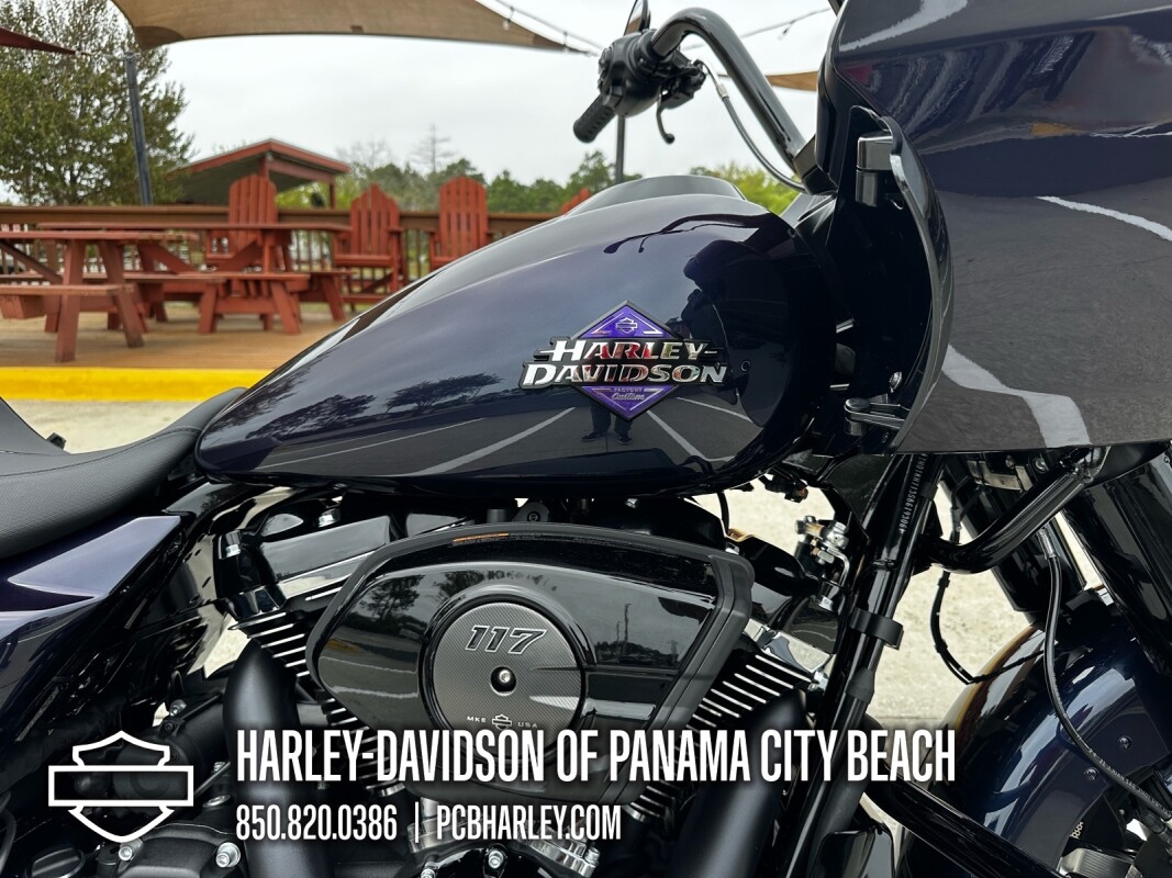 2025 Harley-Davidson Road Glide - Photo 10