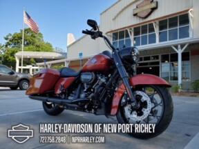 2025 Harley-Davidson<sup>®</sup> Road King<sup>®</sup> Special thumb 2