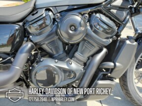 2025 Harley-Davidson<sup>®</sup> Nightster® Special thumb 0