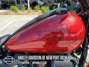 2025 Harley-Davidson<sup>®</sup> Low Rider® S thumb 1