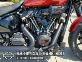 2025 Harley-Davidson<sup>®</sup> Low Rider® S thumb 0