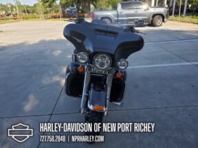 2019 Harley-Davidson<sup>®</sup> Ultra Limited Low thumb 3