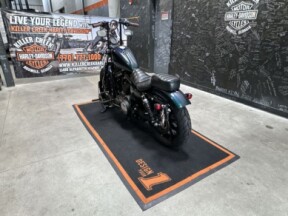 2021 Harley-Davidson<sup>®</sup> Iron 883<sup>™</sup> SNAKE VENOM thumb 3