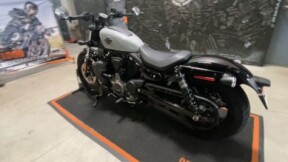 2024 Harley-Davidson<sup>®</sup> Nightster™ BILLIARD GRAY thumb 3