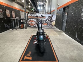 2021 Harley-Davidson<sup>®</sup> Iron 883<sup>™</sup> SNAKE VENOM thumb 2