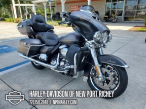 2017 Harley-Davidson<sup>®</sup> Ultra Limited thumb 2