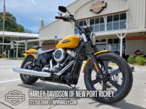 2025 Harley-Davidson<sup>®</sup> Street Bob<sup>®</sup> thumb 2