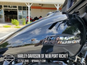 2025 Harley-Davidson<sup>®</sup> Street Glide® thumb 1