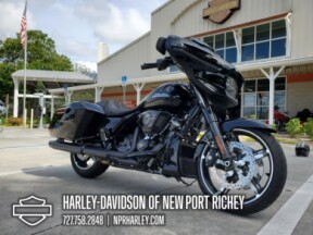 2025 Harley-Davidson<sup>®</sup> Street Glide® thumb 2
