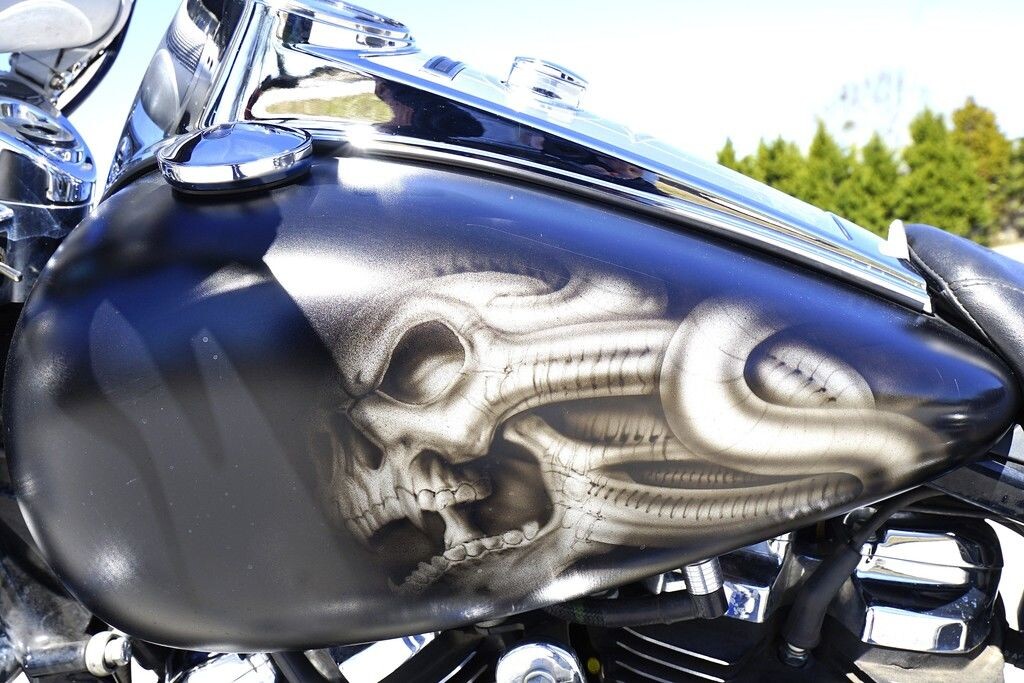 FLHR 2019 Road King - Photo 8