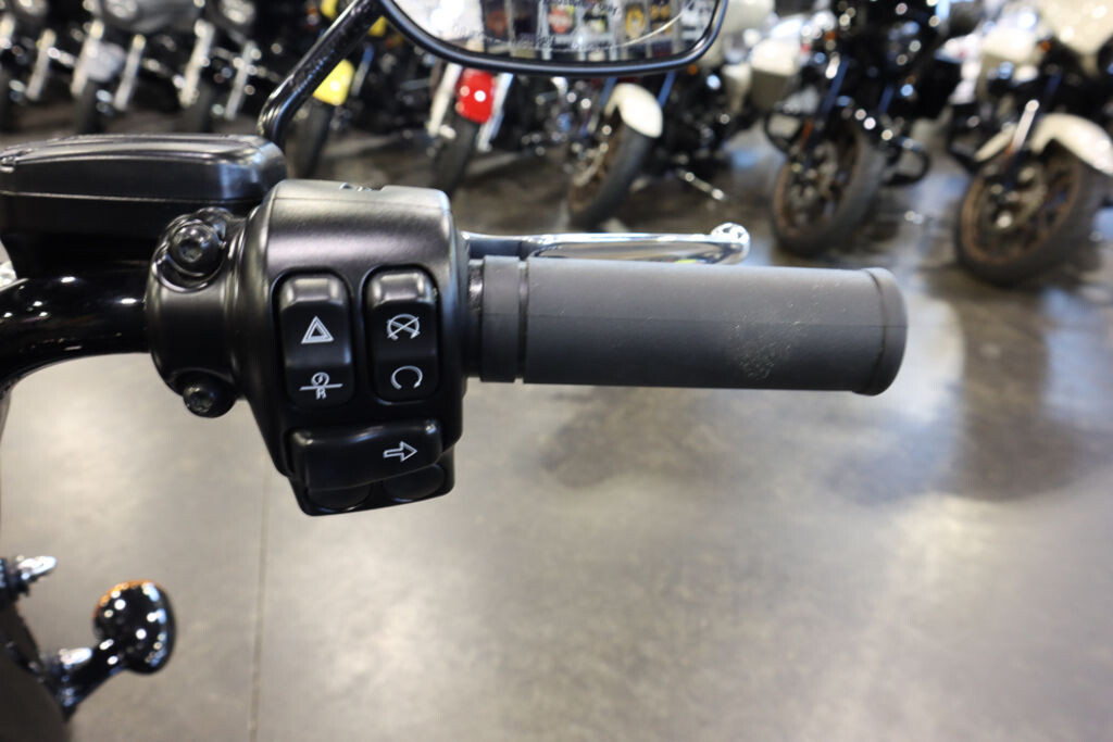 FLRT 2024 Freewheeler - Photo 9
