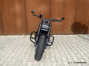 RH1250S 2021 Sportster® S thumb 3