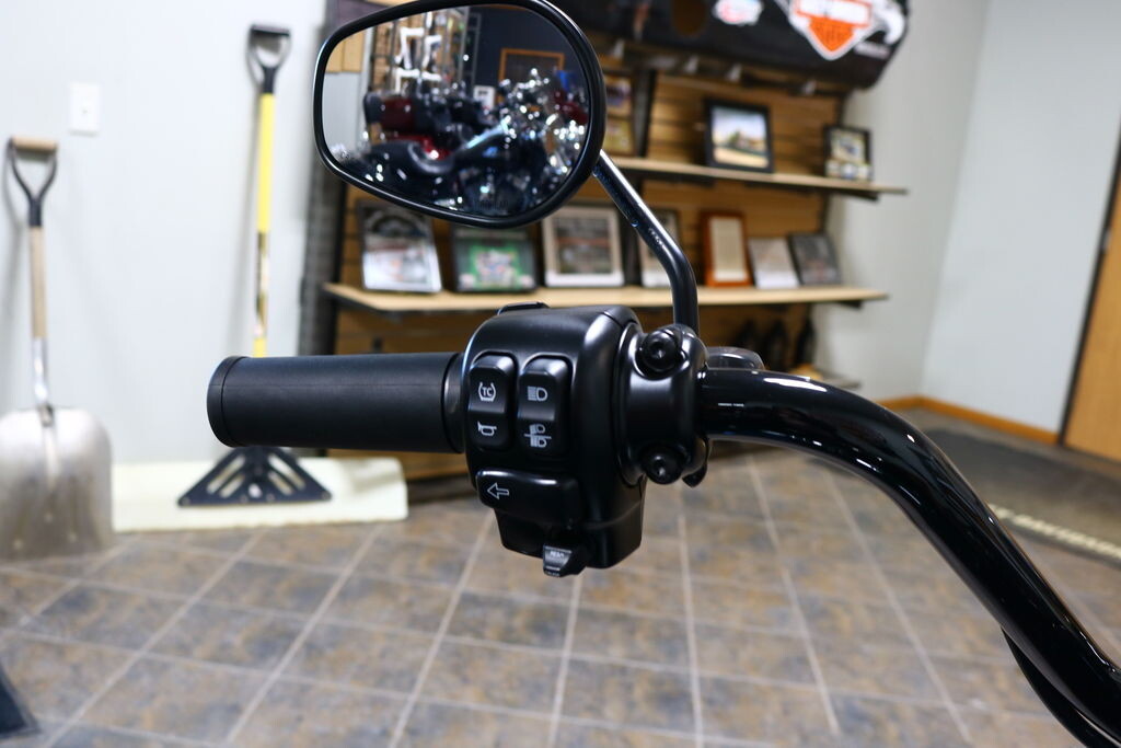 FLRT 2024 Freewheeler - Photo 10