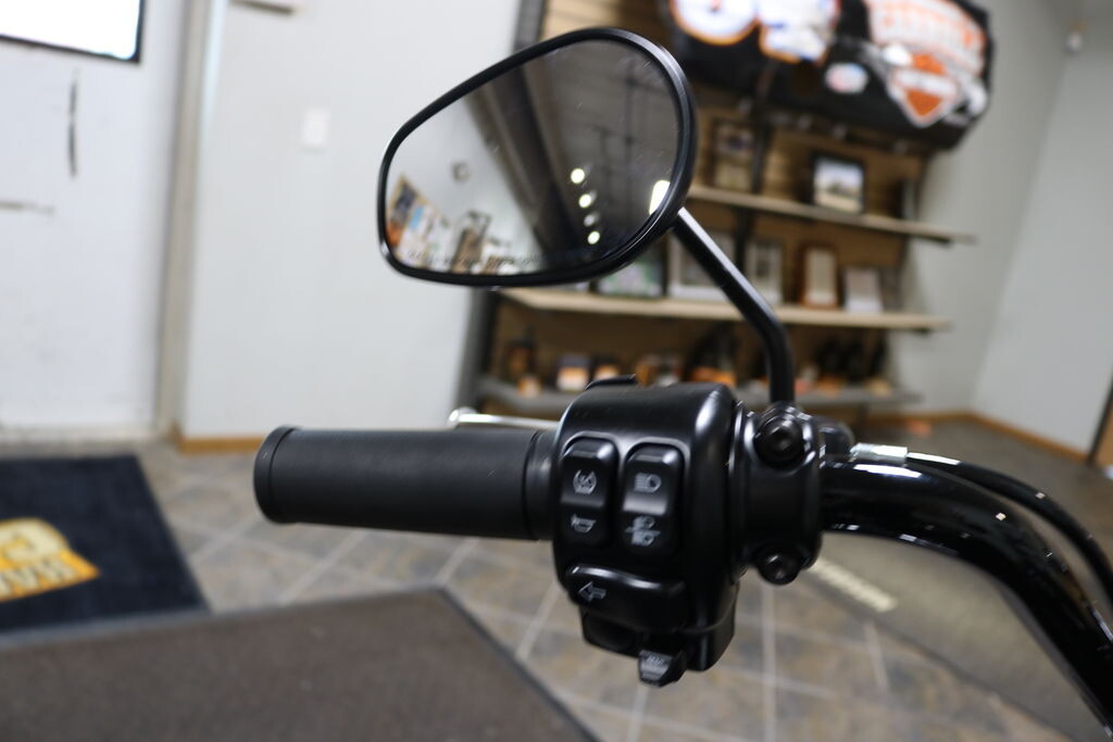 FLRT 2025 Freewheeler - Photo 10