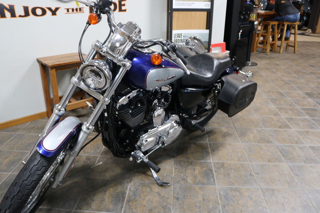 XL1200C 2006 1200 Custom - Photo 4