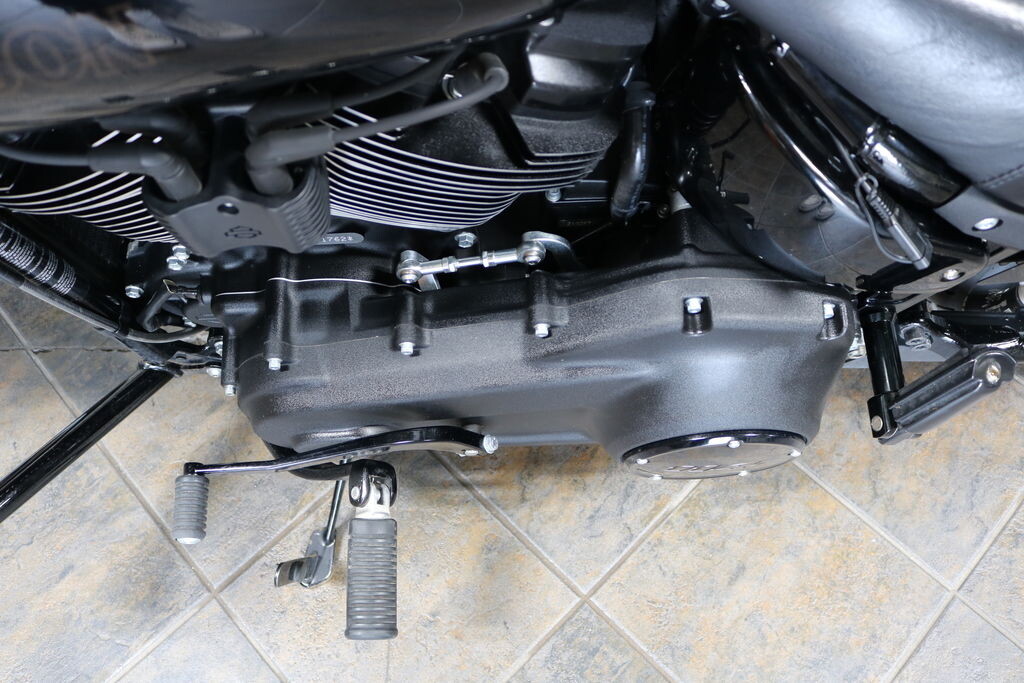 FXLRS 2021 Low Rider S - Photo 2