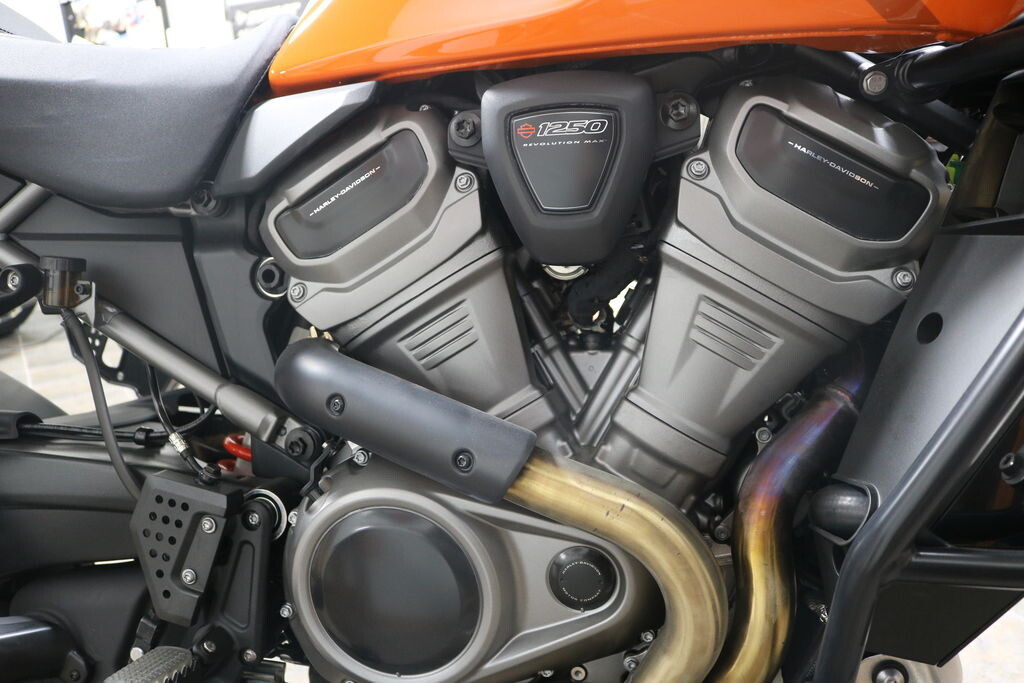 RA1250S 2021 PAN AMERICA SPECIAL - Photo 9