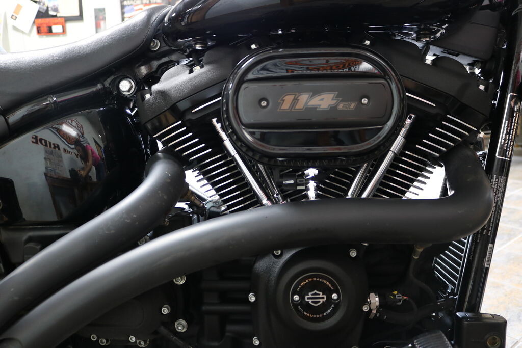 FXLRS 2021 Low Rider S - Photo 9