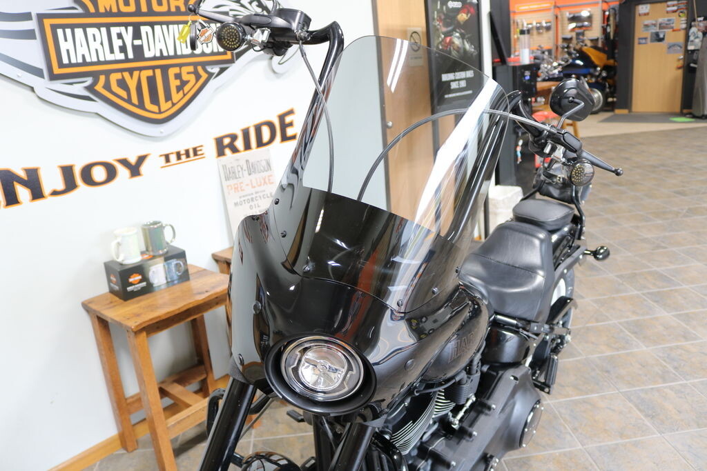 FXLRS 2021 Low Rider S - Photo 5