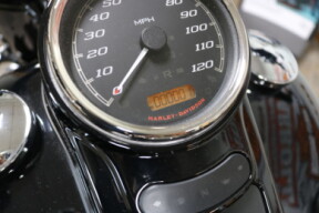 FLRT 2025 Freewheeler® thumb 2
