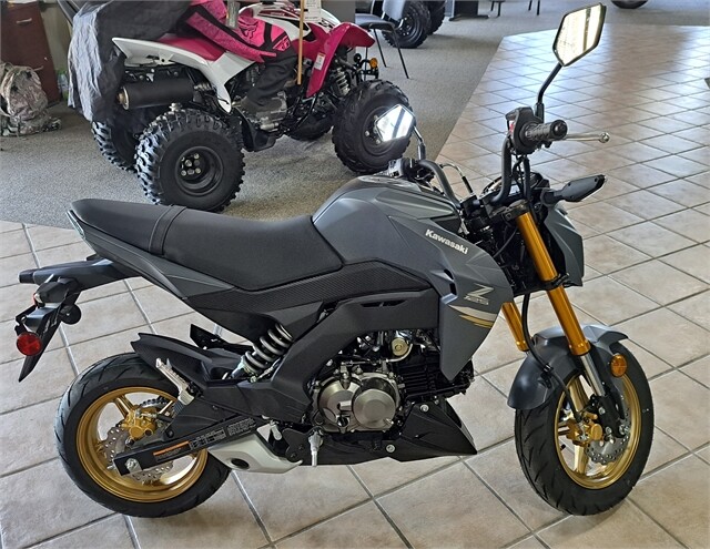 BR125JRFNL 2024 Z125 PRO