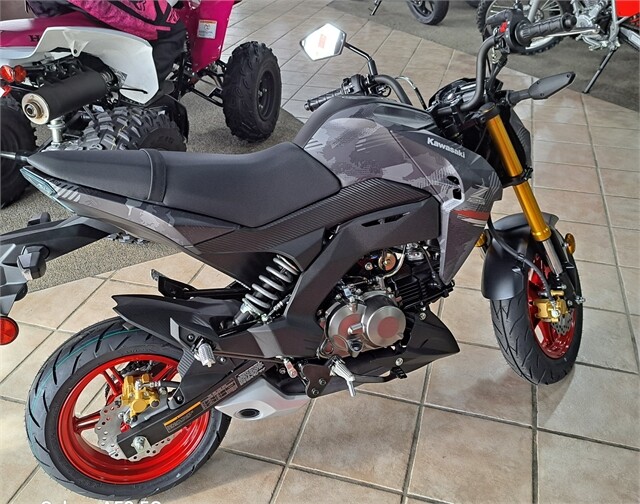 BR125JRFNL 2024 Z125 PRO - Photo 2