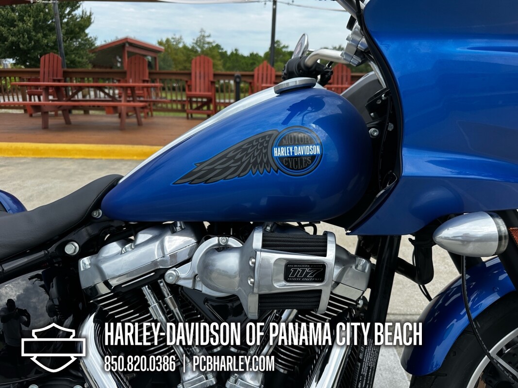 2025 Harley-Davidson Low Rider ST - Photo 10