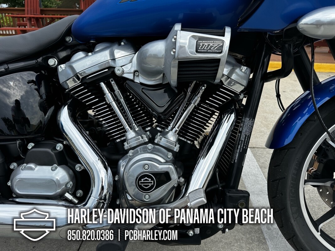 2025 Harley-Davidson Low Rider ST - Photo 9