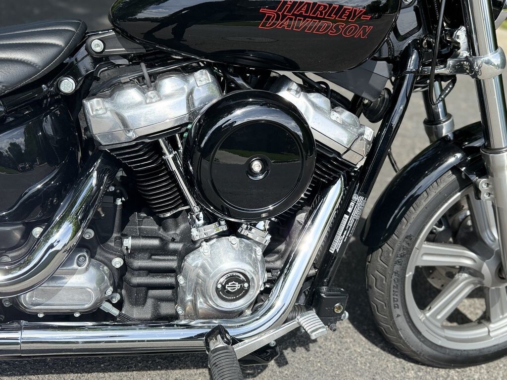 FXST 2023 Softail Standard - Photo 7