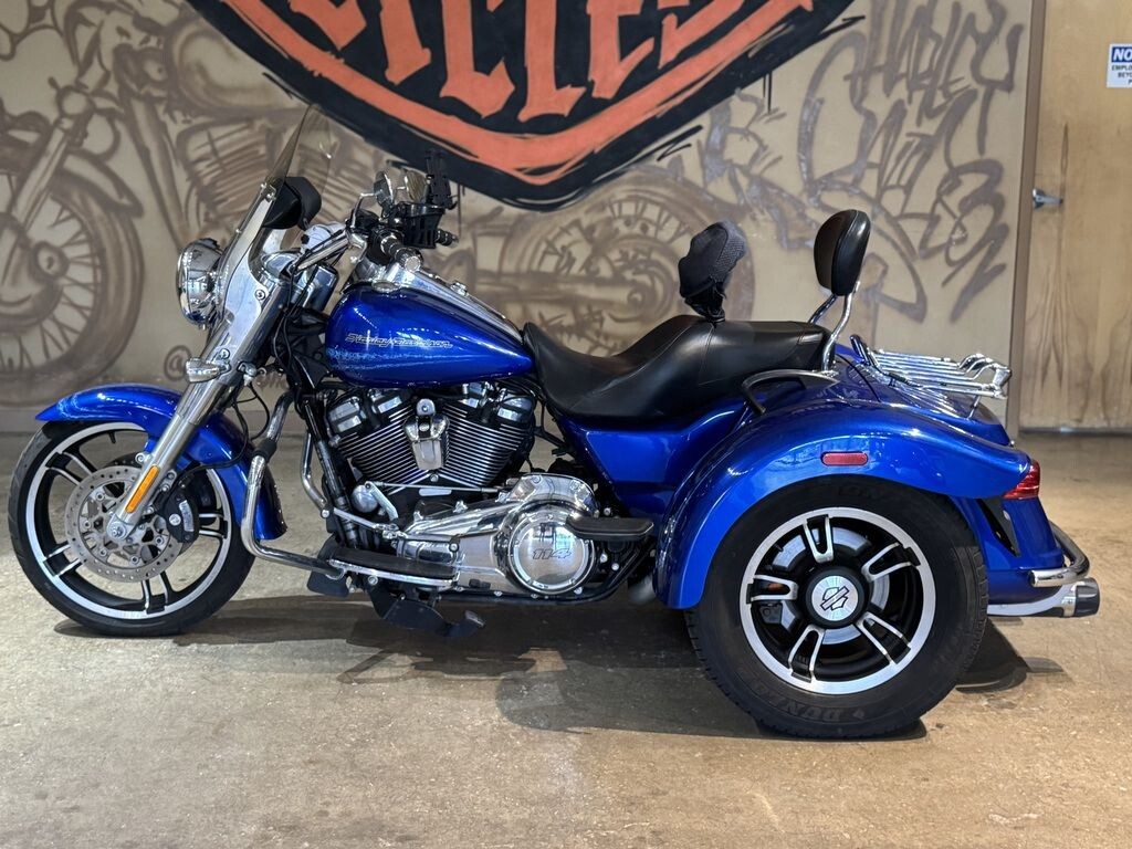 FLRT 2019 Freewheeler - Photo 9