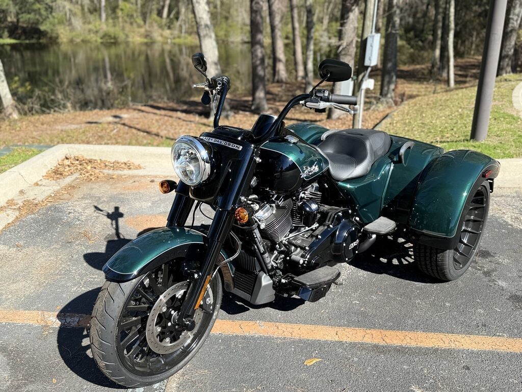 FLRT 2024 Freewheeler - Photo 3