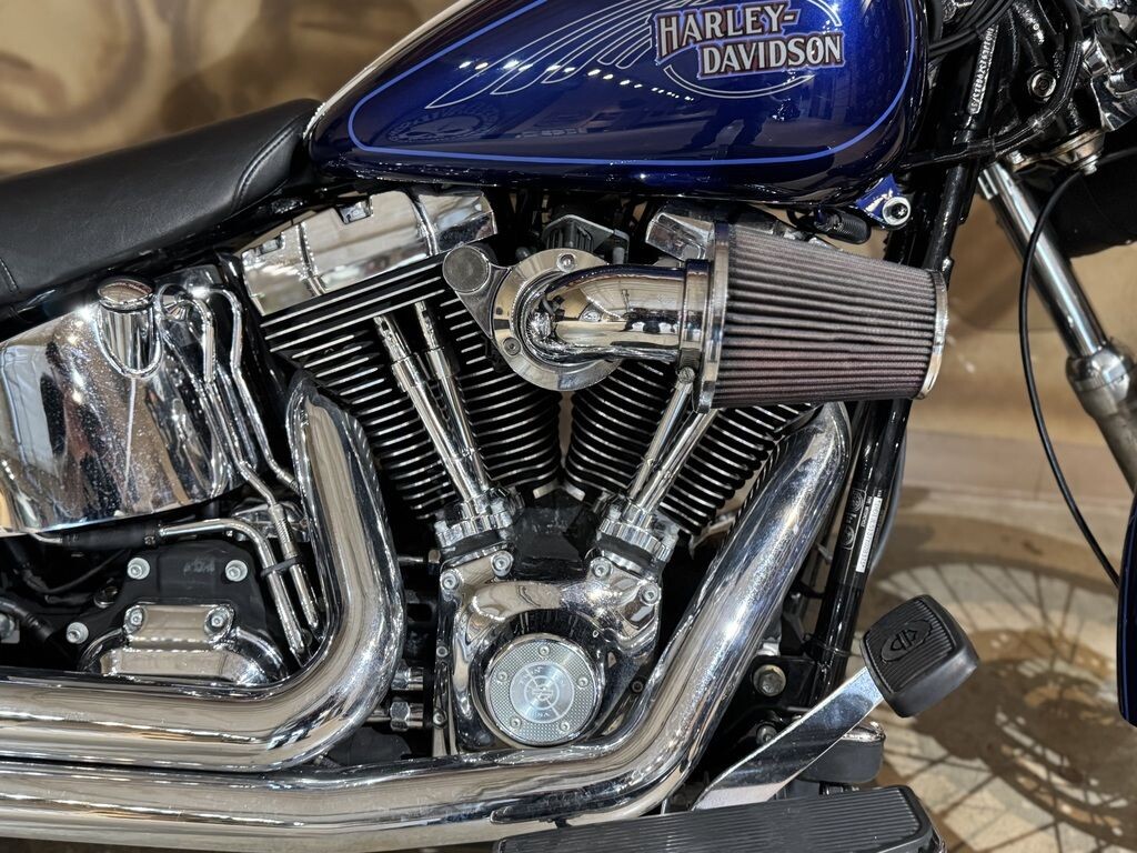 FXSTC 2007 Softail Custom - Photo 7