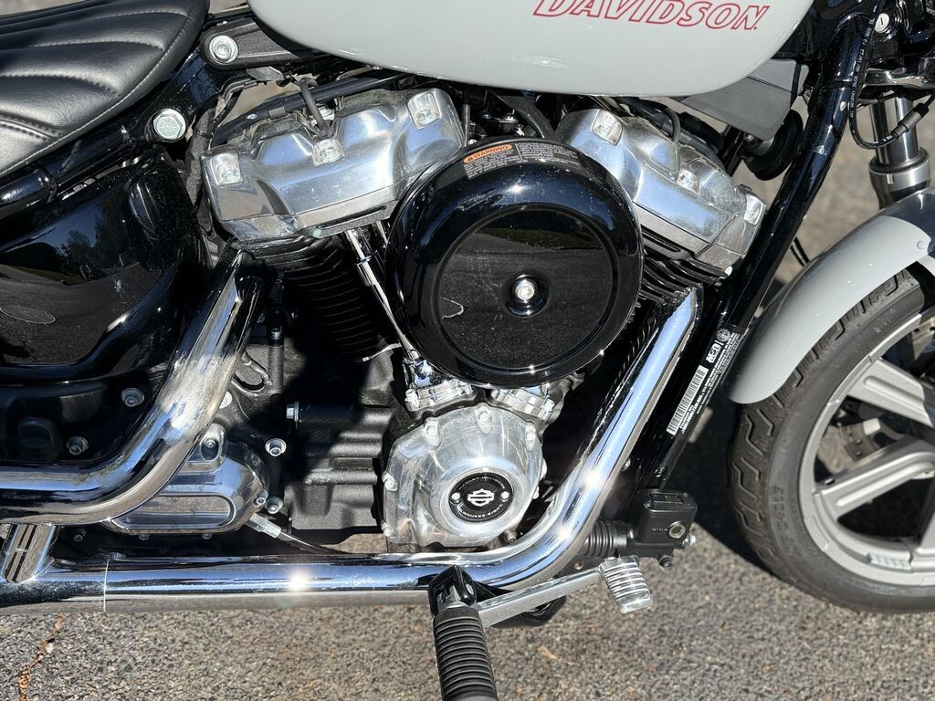 FXST 2024 Softail Standard - Photo 7