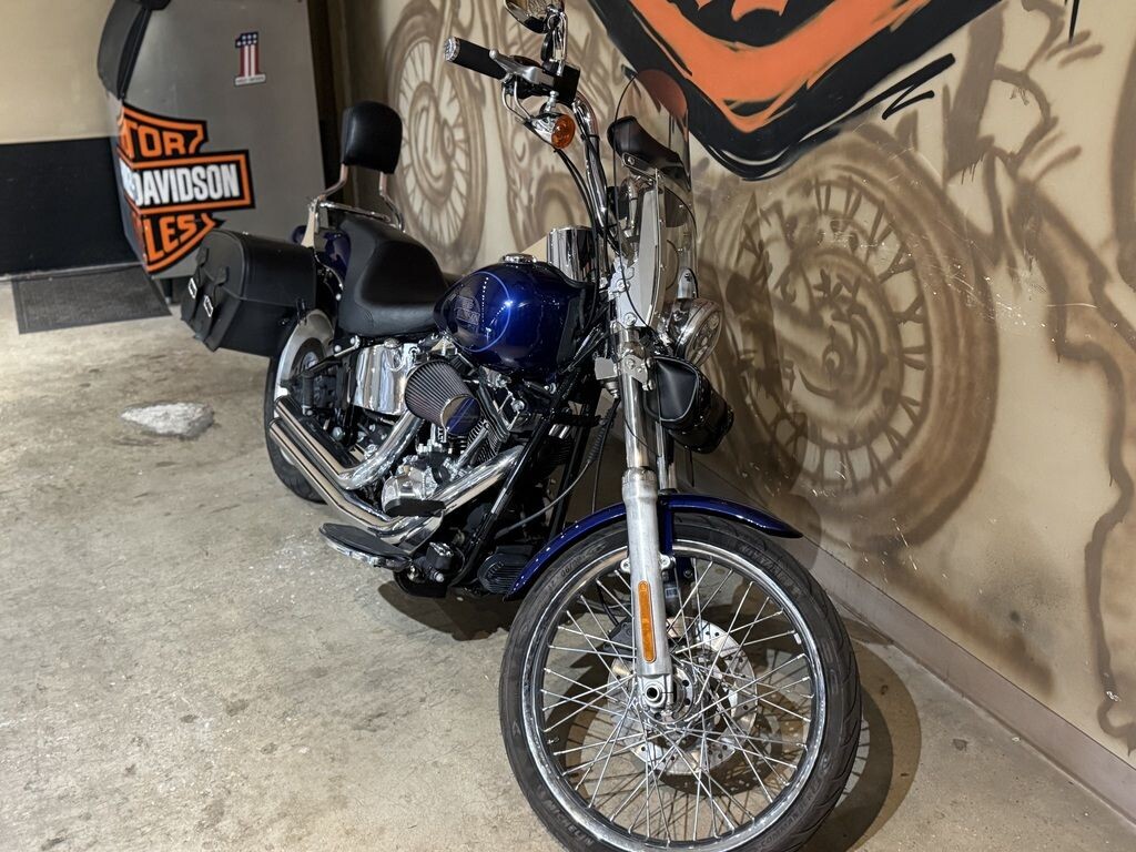 FXSTC 2007 Softail Custom - Photo 3