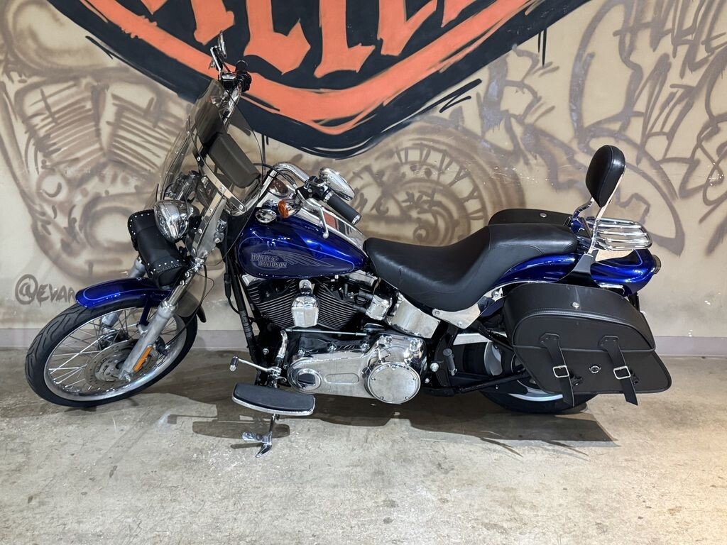 FXSTC 2007 Softail Custom - Photo 9