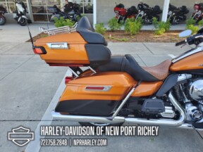 2016 Harley-Davidson<sup>®</sup> Ultra Limited thumb 1