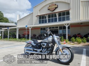 2025 Harley-Davidson® Fat Boy® thumb 3